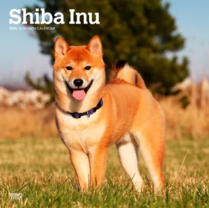 2025 Plastic-Free Shiba Inu Calendar