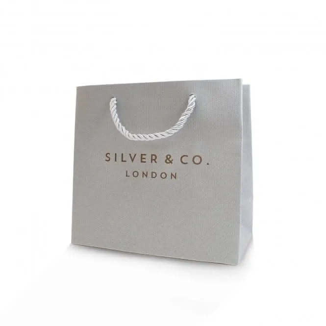 Silver & Co Circle Pendant with Dazzling Cubic Zirconia Detail & Silver Chain, SPG0058CZ